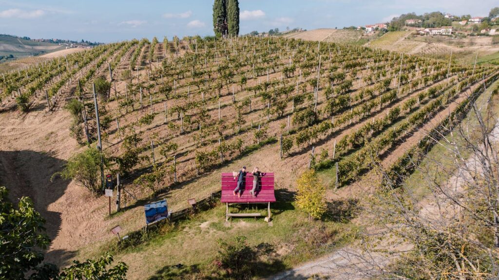 People relaxing on a large bench in a picturesque vineyard in Montegrosso D'asti, Italy.