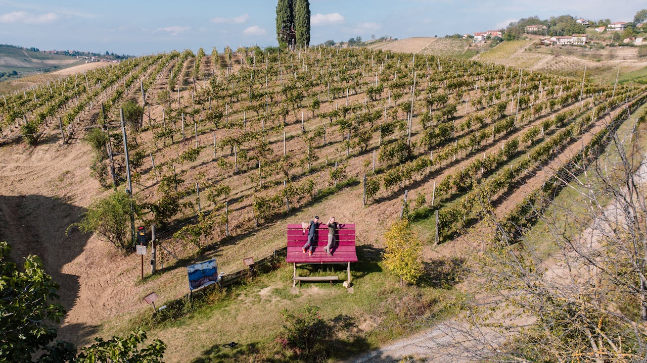 services-03 People relaxing on a large bench in a picturesque vineyard in Montegrosso D'asti, Italy.
