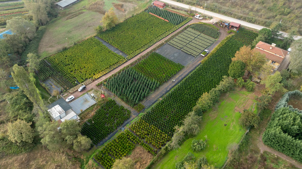 services-04 Drone shot of green farm fields in Yalova, Türkiye displaying organized agricultural patterns.